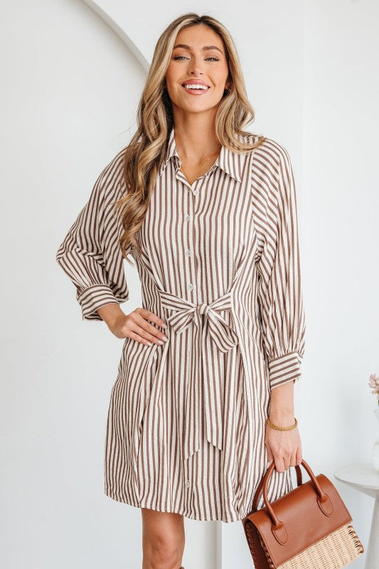 Stripe Tie Waist Puff Sleeve Mini Shirt Dress Brown Stripe / M Stripe Tie Waist Puff Sleeve Mini Shirt Dress Brown Stripe / M