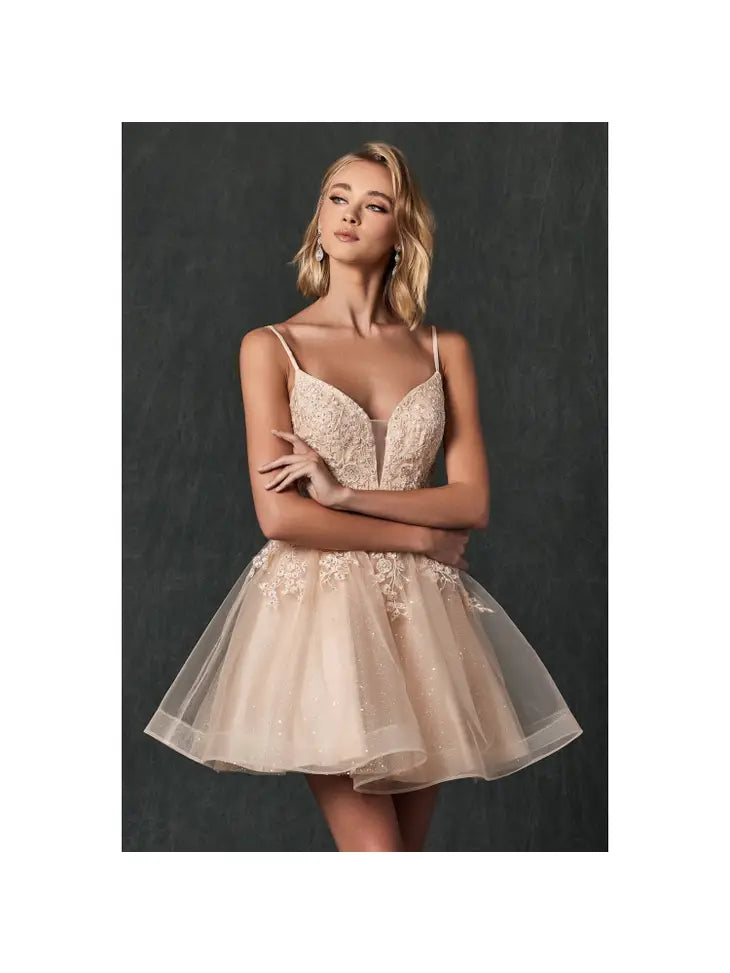 Fairytale Wishes Homecoming Dress