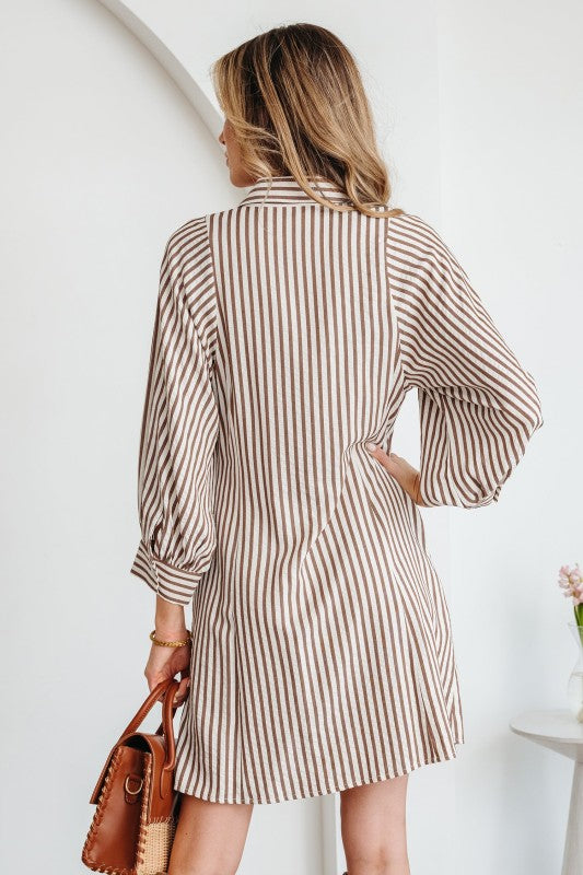 Stripe Tie Waist Puff Sleeve Mini Shirt Dress Brown Stripe / M Stripe Tie Waist Puff Sleeve Mini Shirt Dress Brown Stripe / M